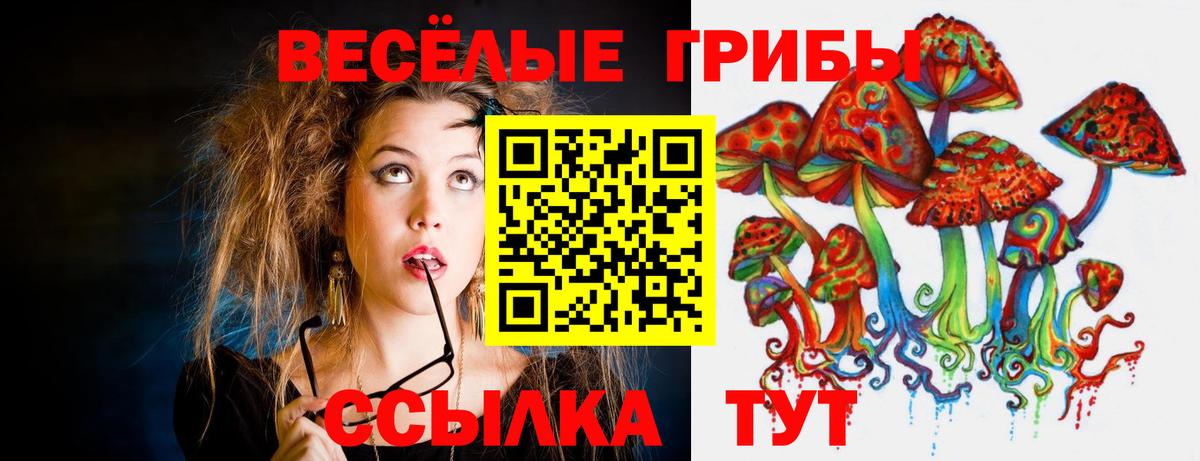 Галлюциногенные грибы MAGIC MUSHROOMS  Галлюциногенные грибы Magic Shrooms  Алексеевка  Вход с VPN 
