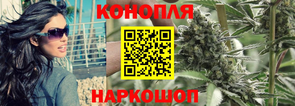 Конопля планчик Алексеевка